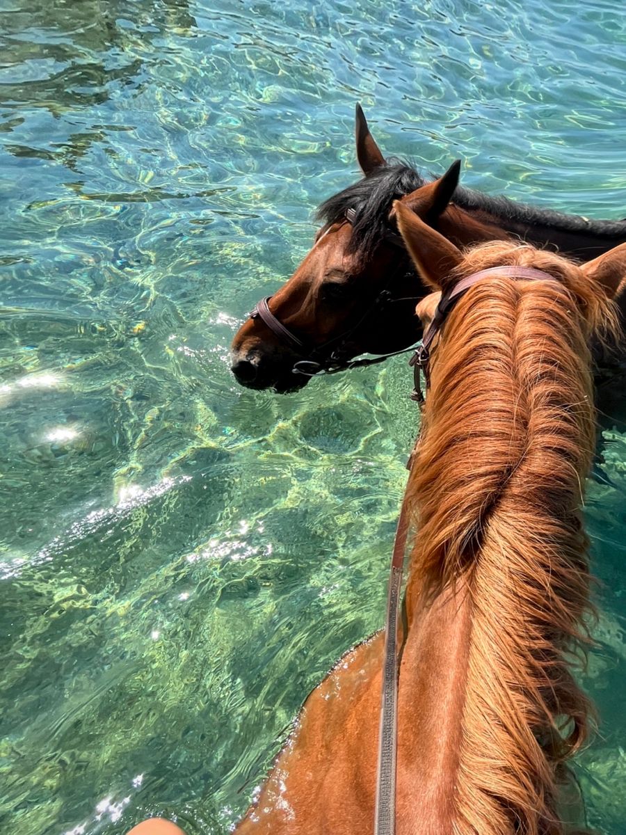 Horse Riding Adventure