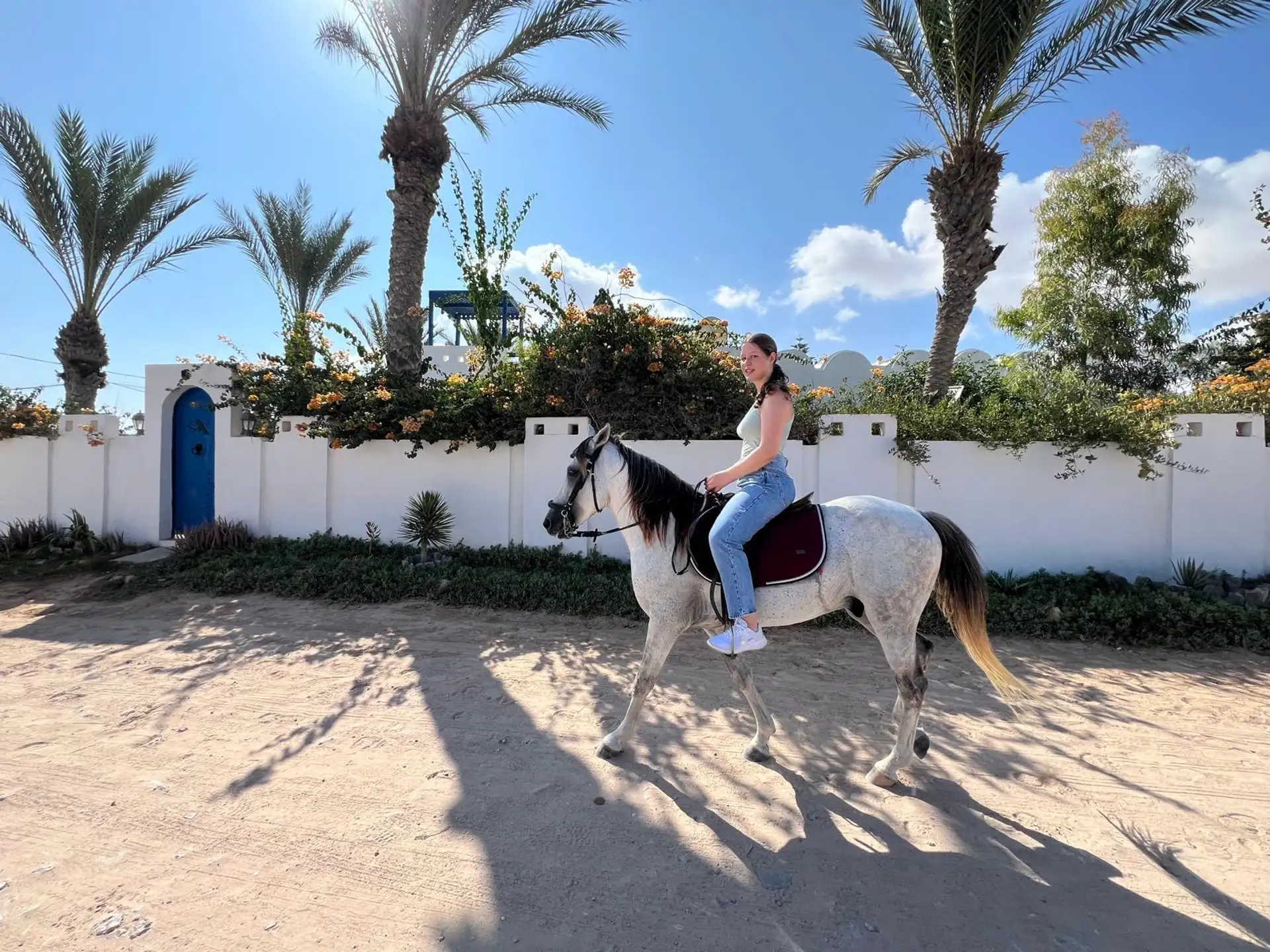 Horse Riding Adventure in Djerba