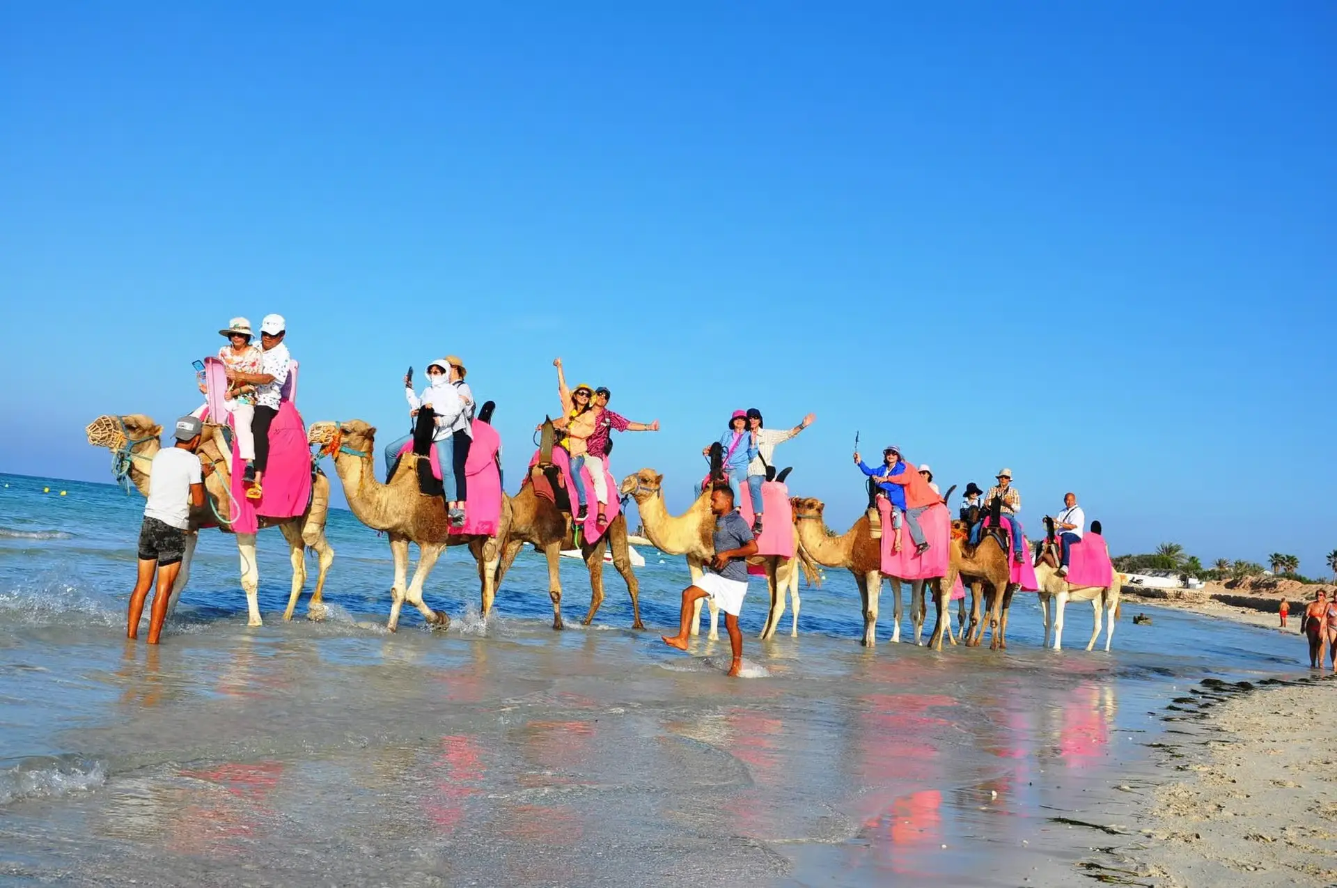 Authentic Camel Ride through Djerba Lagoons