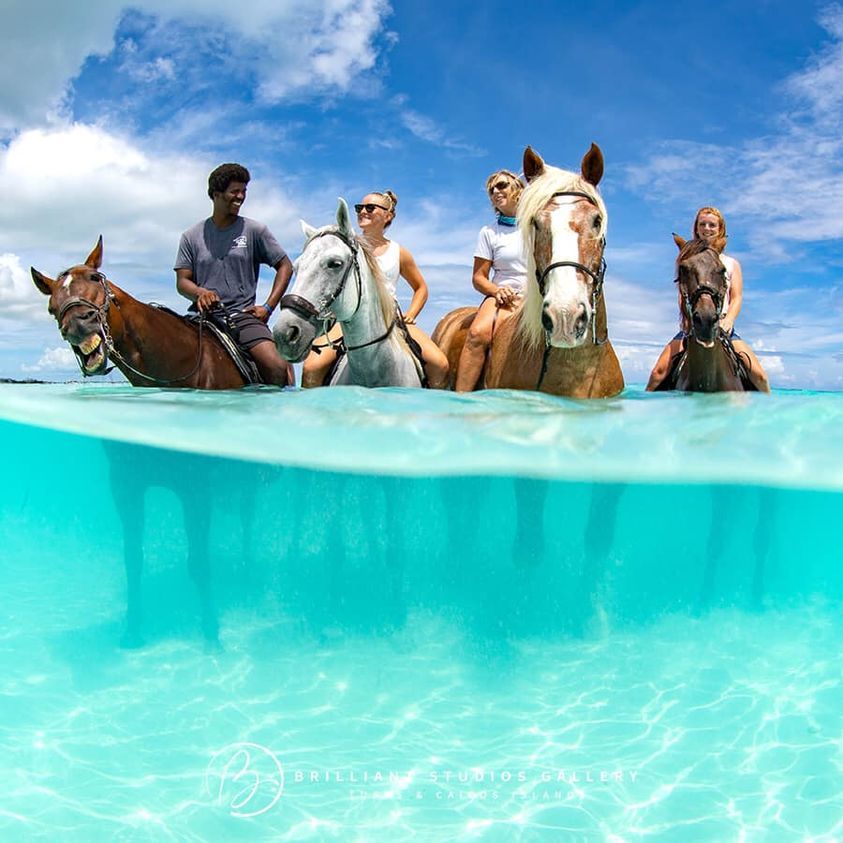 Horse Riding Djerba