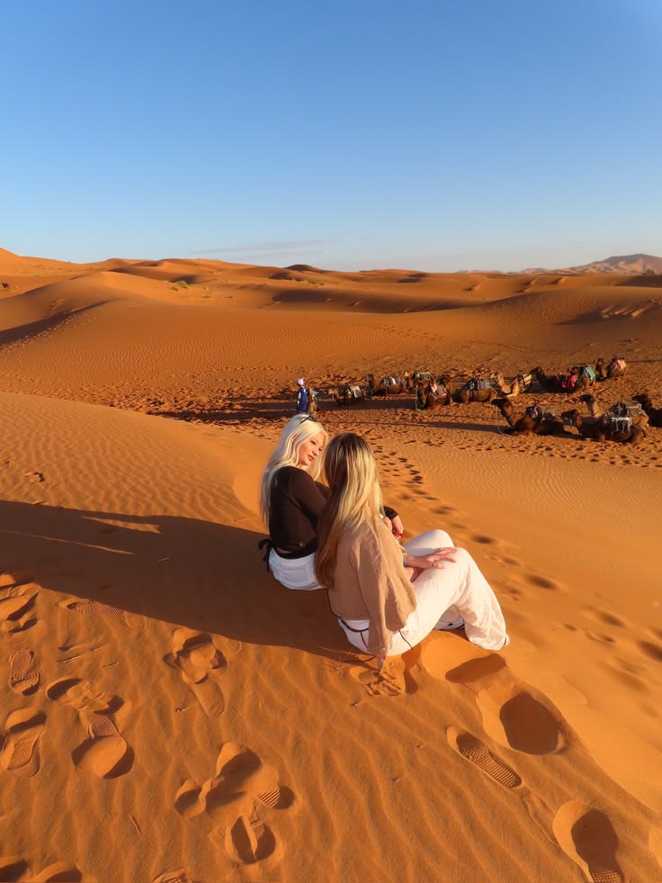 Authentic Camel Ride through Djerba Lagoons