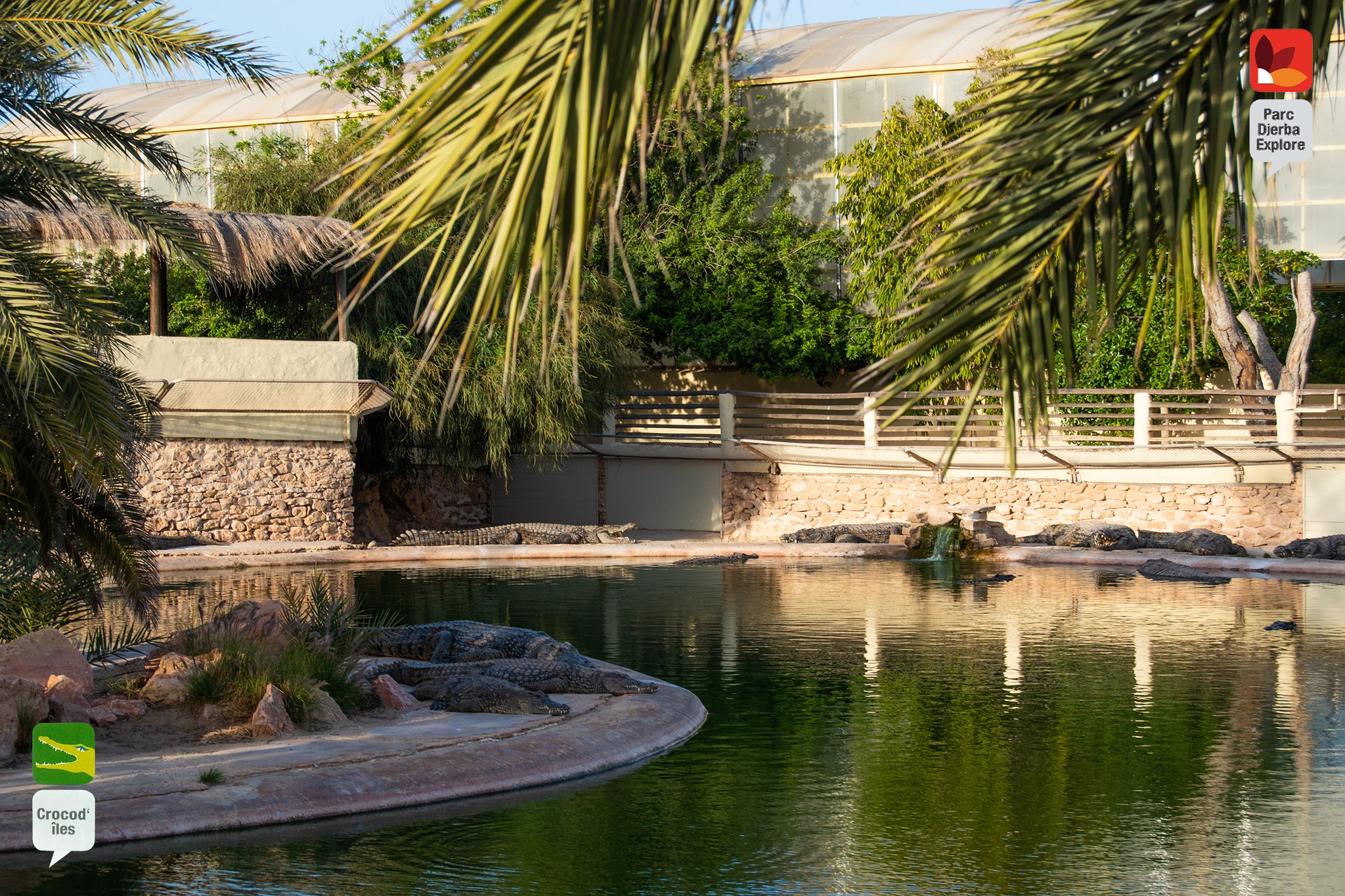 Crocodile Park Visit in Djerba