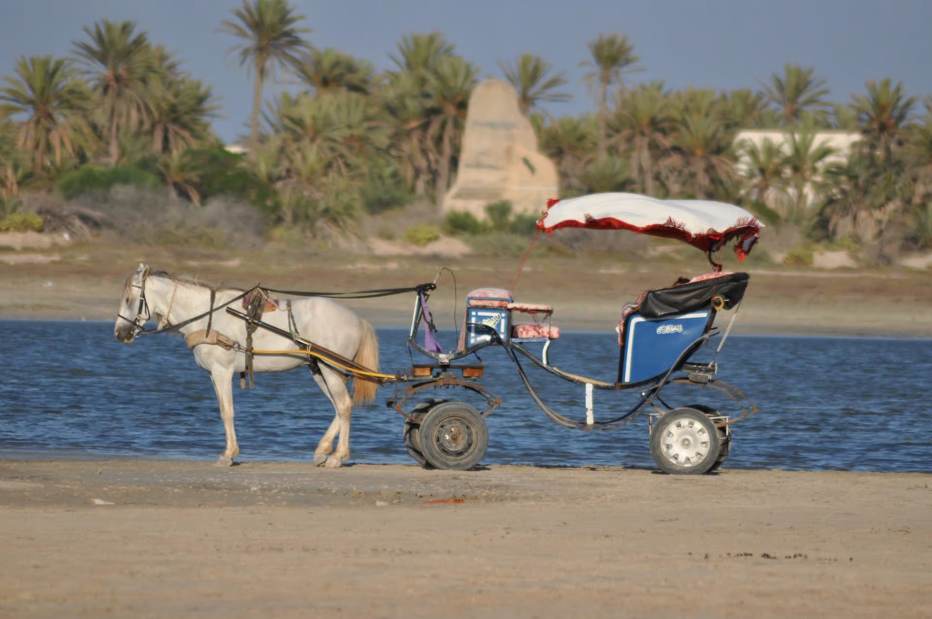 Carriage Ride in Djerba