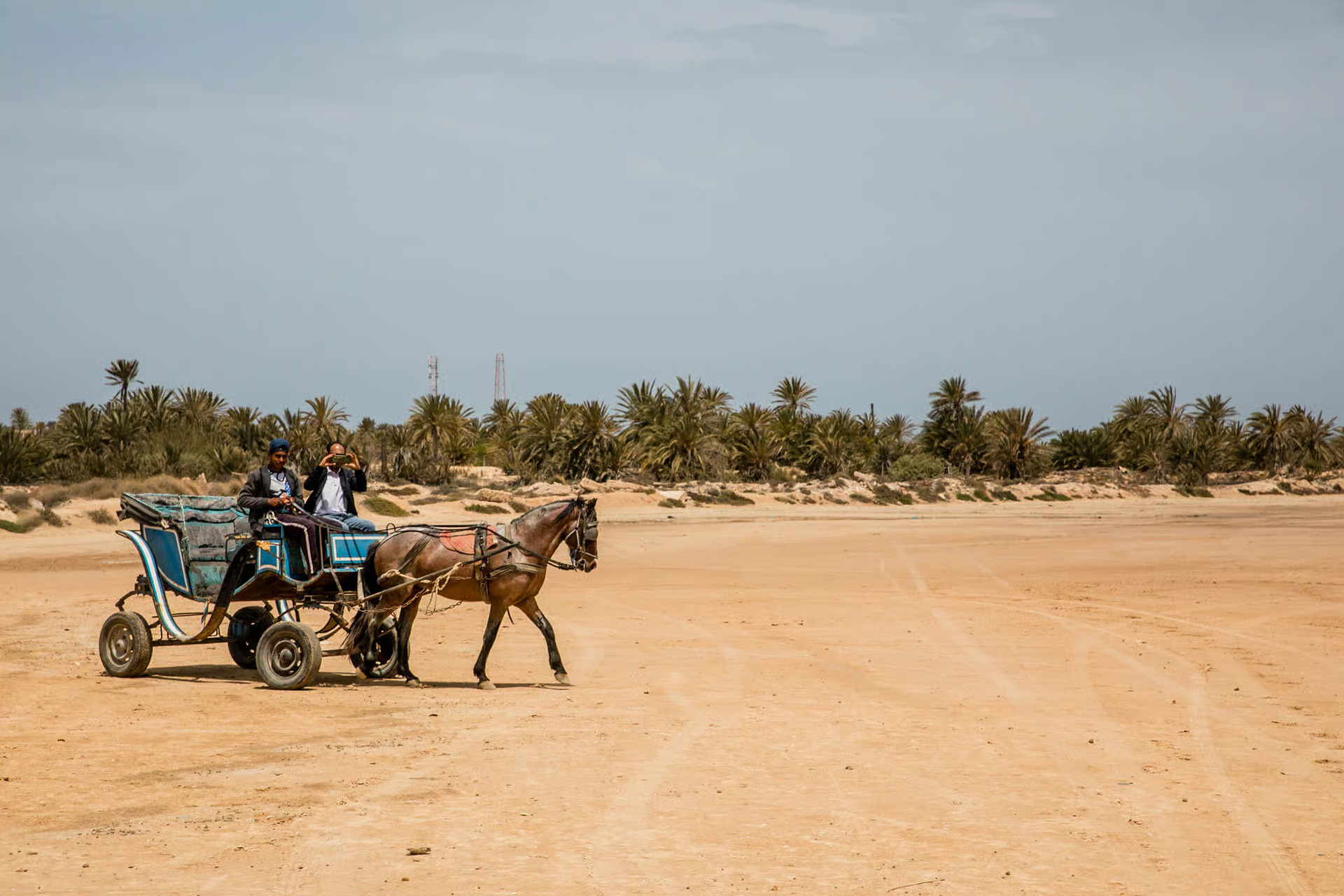 Carriage Ride in Djerba