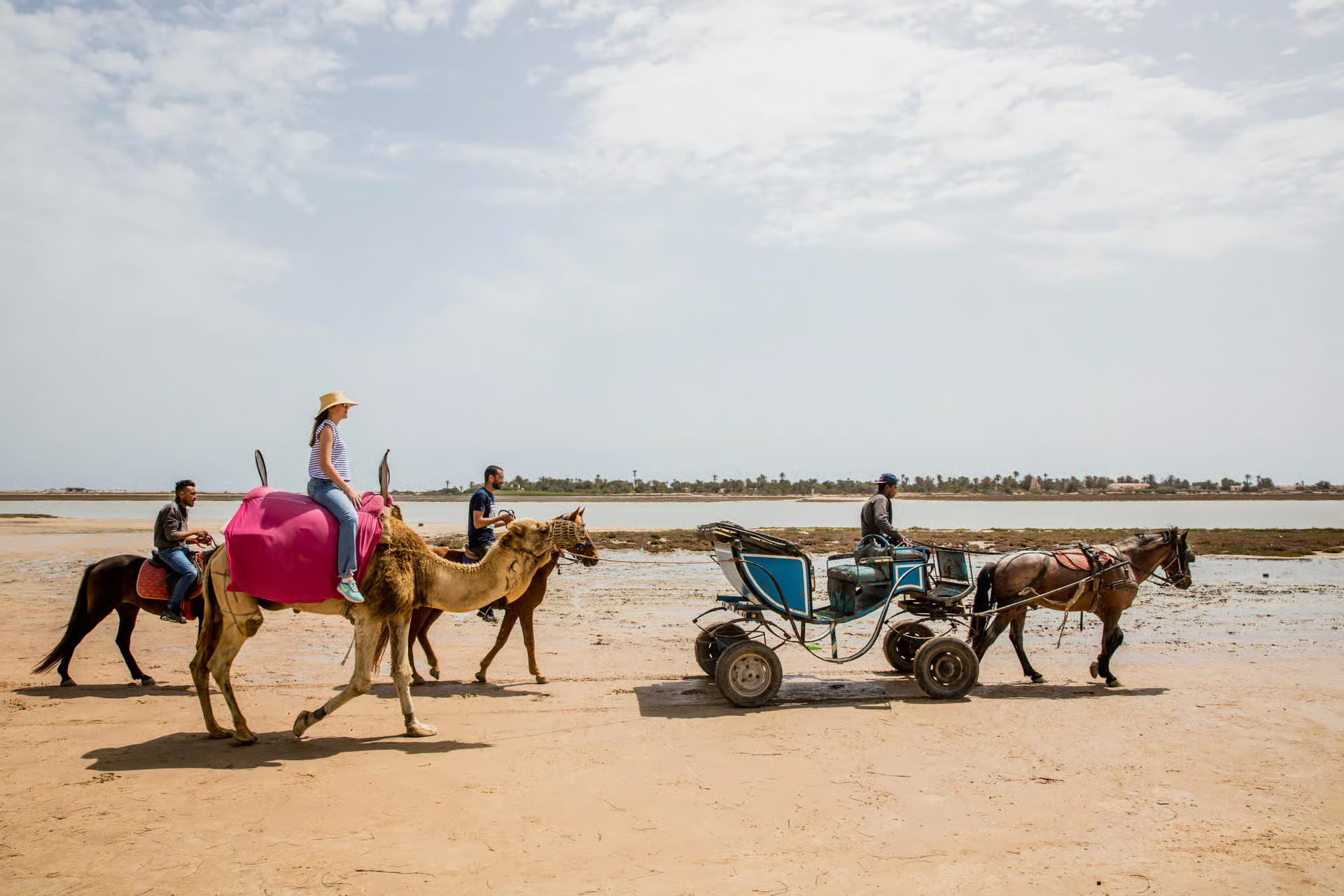 Carriage Ride in Djerba