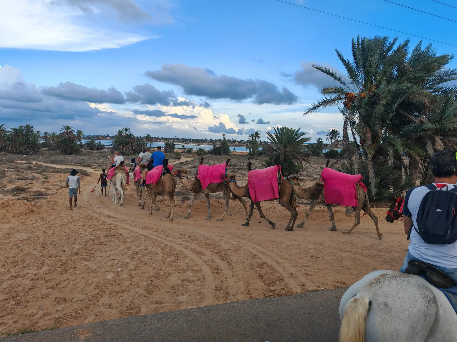 Authentic Camel Ride through Djerba Lagoons